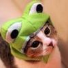 ちゃりきち