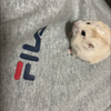 ユーザーアイコン
