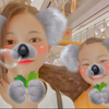 Hikäri🐯