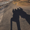 あおい