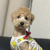 こーちゃん