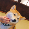 さきを#応援ありがとうございました！