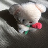 かーな🍒🌱