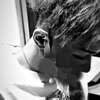 Hiroto