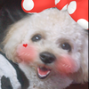 るぅ