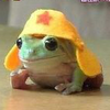 みっきーまうす！！！