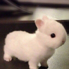 のん