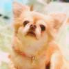ゆーか