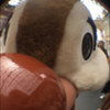 さくら