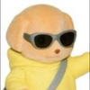わん