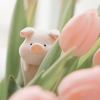 🐰おもち🍡💓