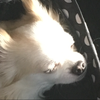 ゆっぴ