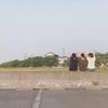 ひなっくす🐤  ＠🐸🌹 🐜☘