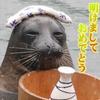 よざく