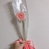 きょうこ🐰🌷