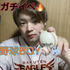 ひろき⚾️❄️#yell投票🆘楽天🦅⚾️