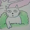 道産子くん(どさんこ)🐵