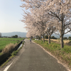 りく。