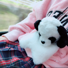 mayu