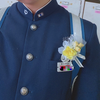 の