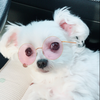 NATSUMI🐶🎈