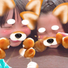 わか＠ガオラー