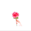 유우마
