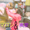 そなだおー