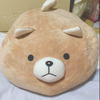 かいり