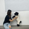 ここ