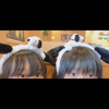 わわか