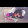 ふうま＆りんかｃｏｕｐｌｅ