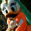 Daisy