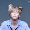 # 사 쿠 라 코