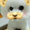ムギ🐾