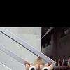 ひぐまもん