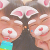 ばかっちょーず
