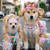 あゆ