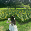 ことみ
