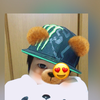 さっさん
