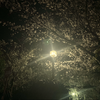 ウタノオト☂︎.*美雨*.☂︎