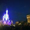 ちゃんこと🐭🎡🎢✨🏰