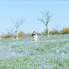 あーるえす さえ 