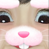 ゆき。🐰🌹