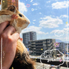こゆき