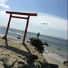 ⭐️こいでっち⭐️