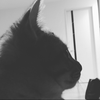 たぶりな