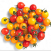🍅