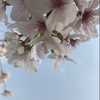 ななっち🦋