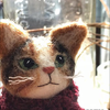 ねこ